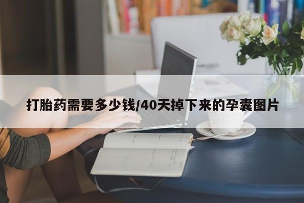 堕胎药联系方式打胎药需要多少钱/40天掉下来的孕囊图片